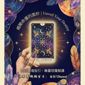 沐禾紫微 塔羅