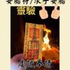 沐禾紫微 安胎符 觀音佛祖 註生娘娘 求子 安胎 順產 護身符 求子安胎順產